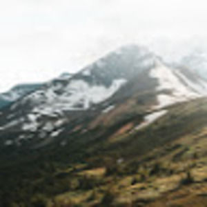 Meet your Posher, Josh